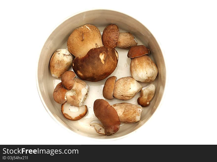 Brown mushrooms