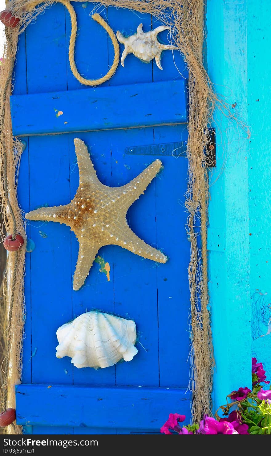 Unusual collection of sea critters mounted on a wooden door. Unusual collection of sea critters mounted on a wooden door