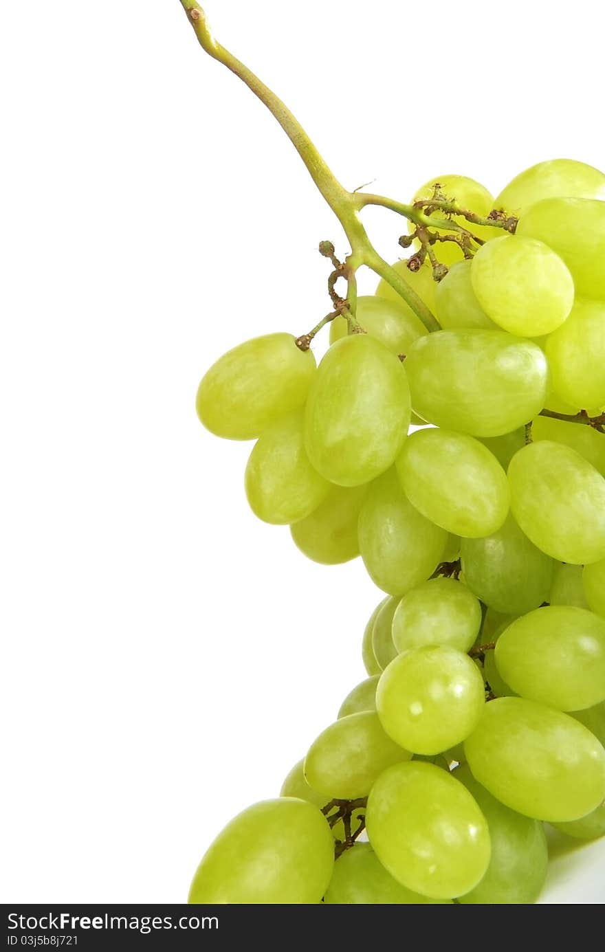 Fresh grape. Isolated. Close-up