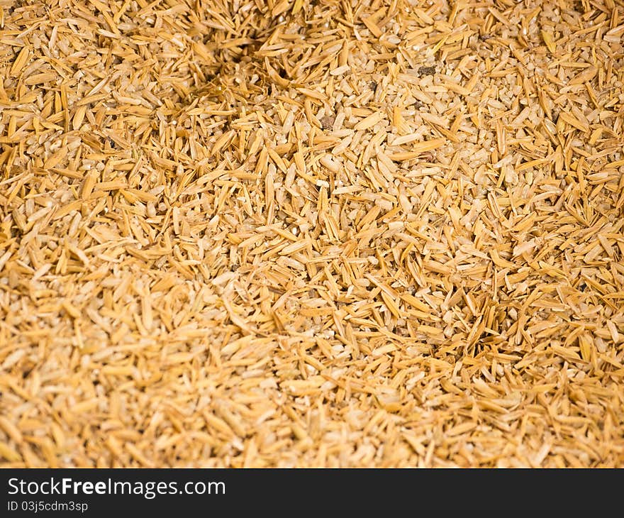 Dry brown paddy as background. Dry brown paddy as background