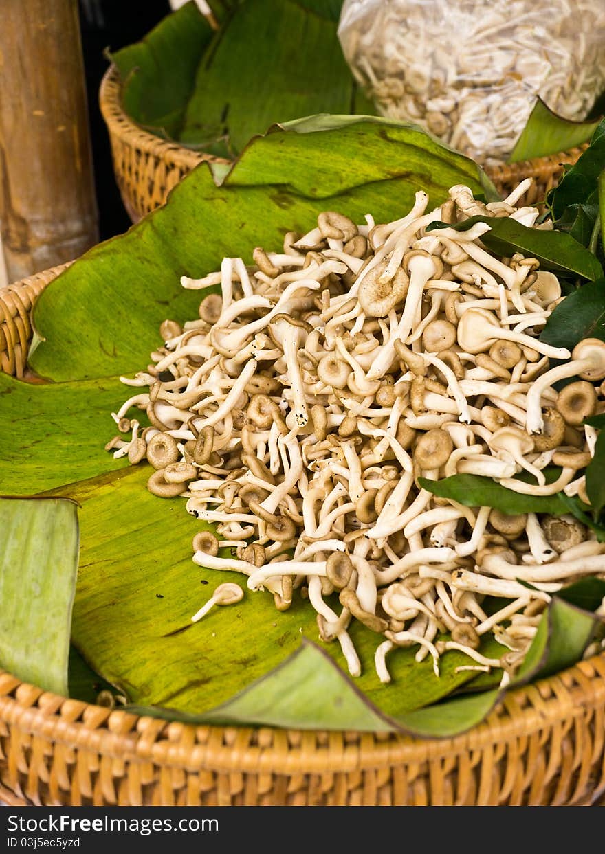 Mushroom in wicker basket in market