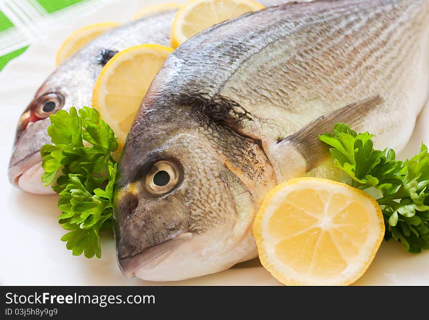 Gilt-head (Sparus aurata) on plate ready to be cooked. Gilt-head (Sparus aurata) on plate ready to be cooked