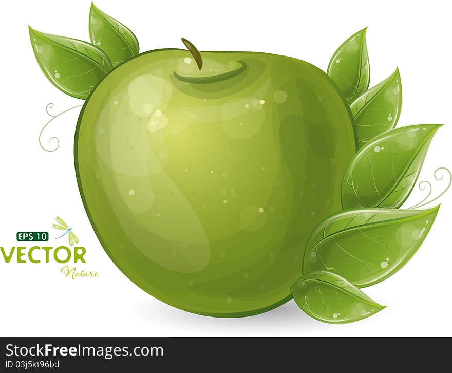 Green apple and leaves, illustration, eps-10