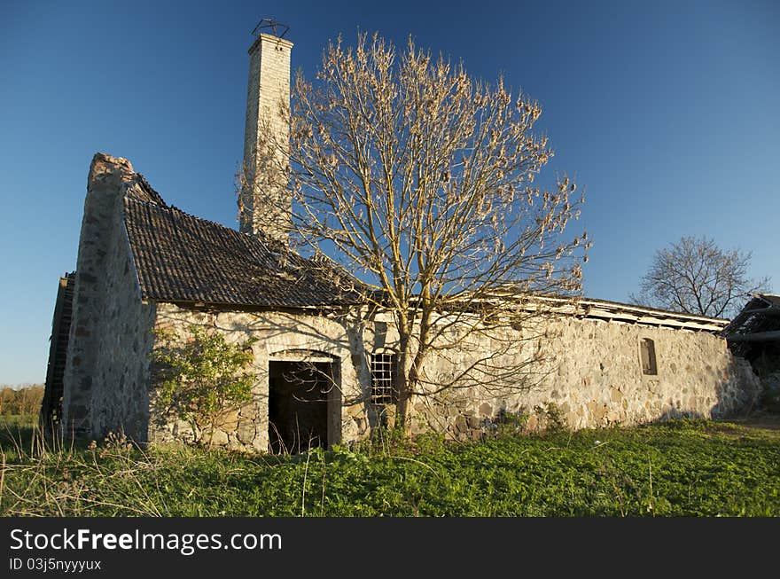 Old ancient abandoned farm house with collapsed roof. By the house is growing tree. Chimney has remained. Old ancient abandoned farm house with collapsed roof. By the house is growing tree. Chimney has remained.