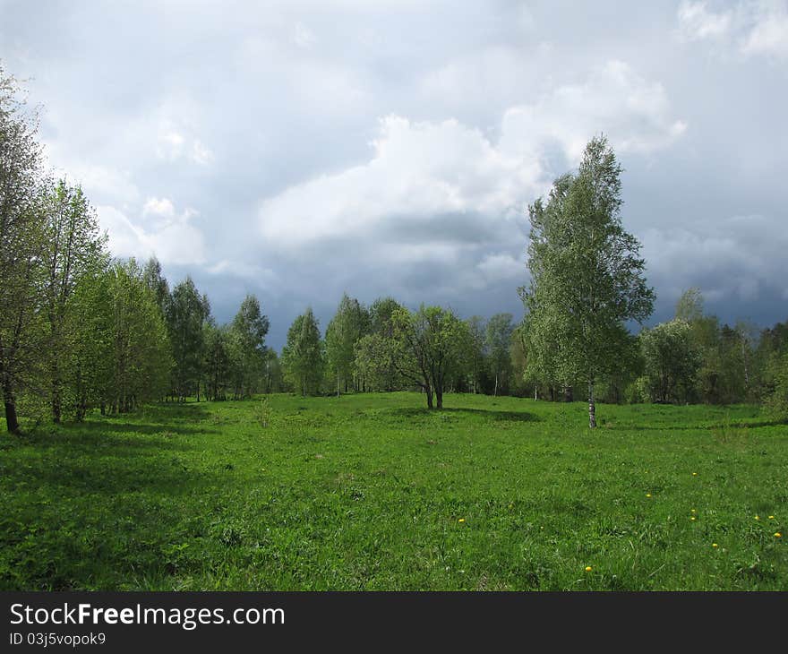 Landscape On A Summer Day Before A Thunderstorm