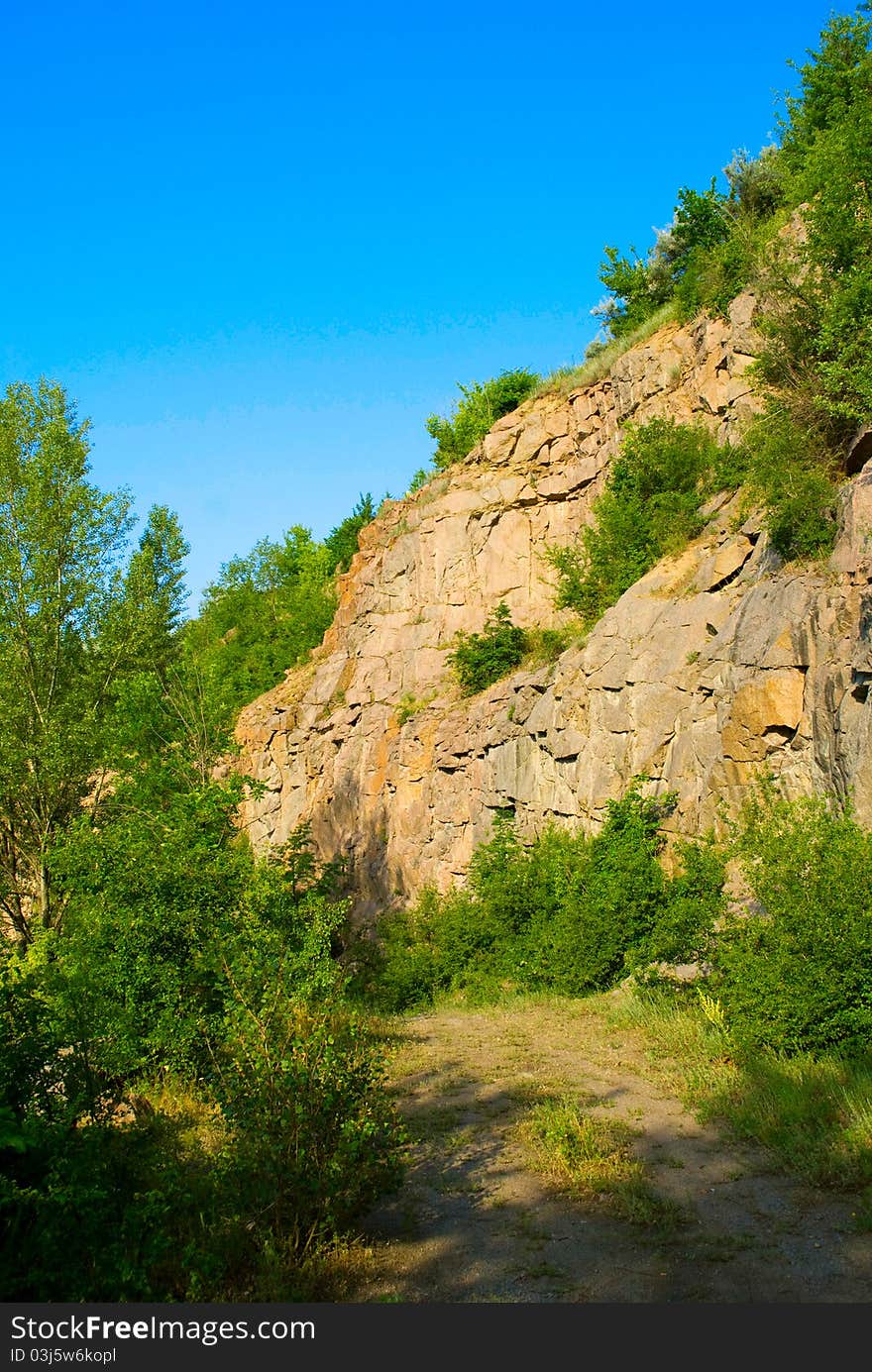 A large rock on which the green trees grow