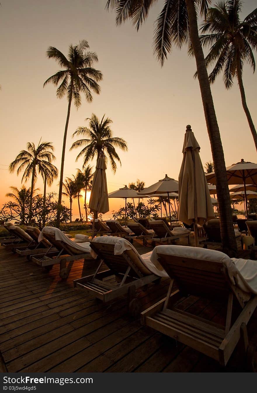 Palm forest silhouettes on sunrise