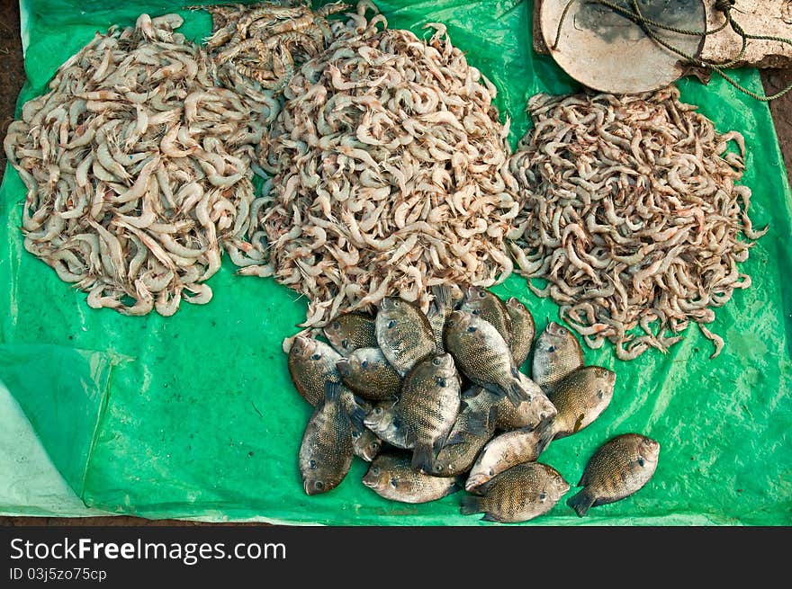 Street side fish market