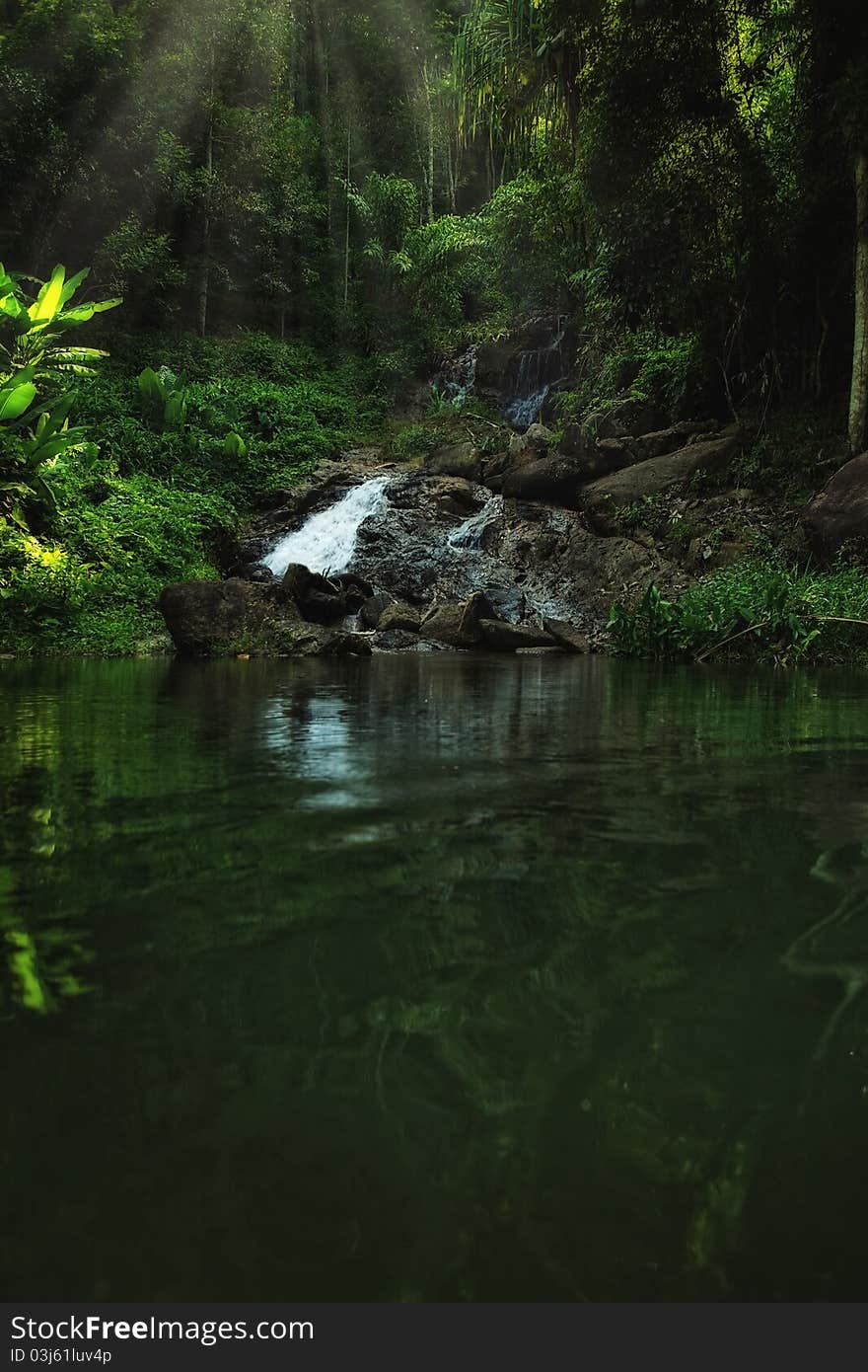 Panoramic view of nice tropic jungle and huge boulders. Panoramic view of nice tropic jungle and huge boulders