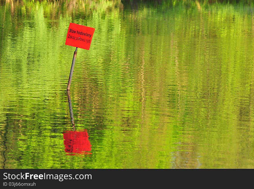 Lake-non-breeding fish and reflection in water