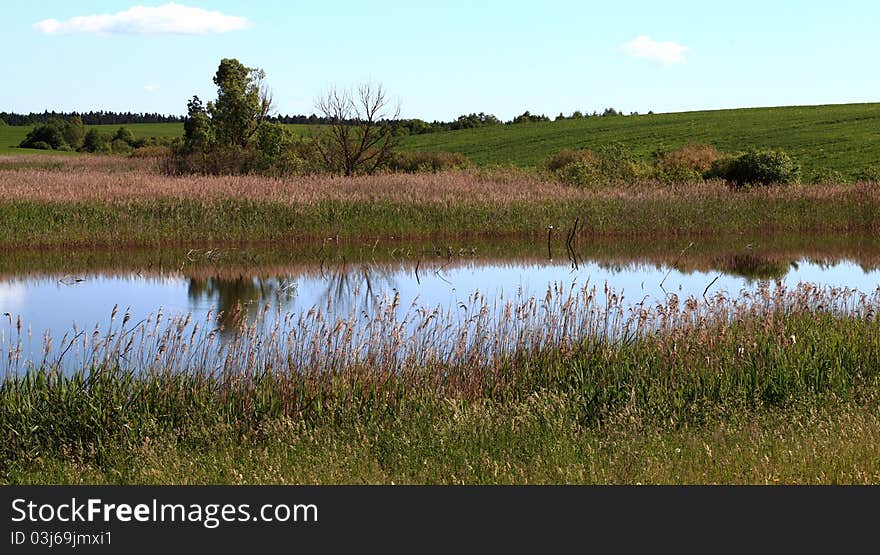 Summer view: lake with sky reflection