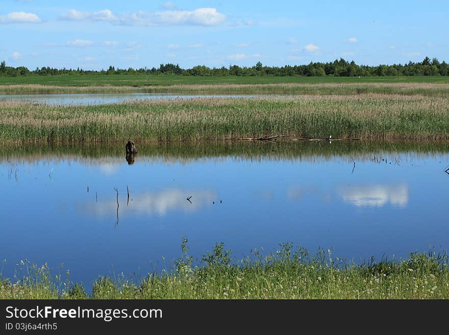 Summer view: lake with sky reflection