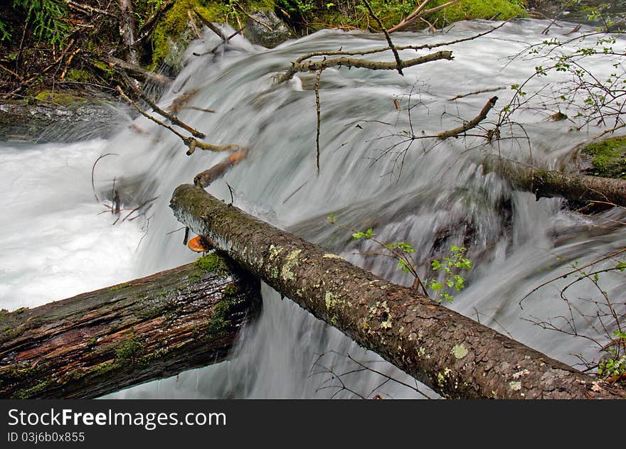 This image of the rushing stream fed by snow melt the moss covered boulders and lush foliage and the intersecting logs was was taken in NW Montana. This image of the rushing stream fed by snow melt the moss covered boulders and lush foliage and the intersecting logs was was taken in NW Montana.