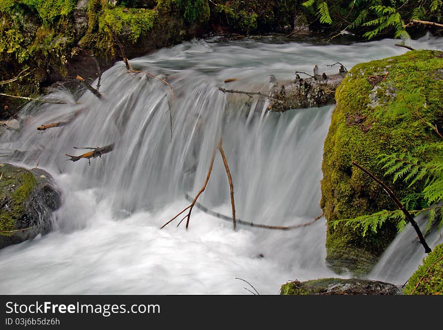 This image of the rushing stream fed by snow melt the moss covered boulders and lush foliage was was taken in NW Montana. This image of the rushing stream fed by snow melt the moss covered boulders and lush foliage was was taken in NW Montana.