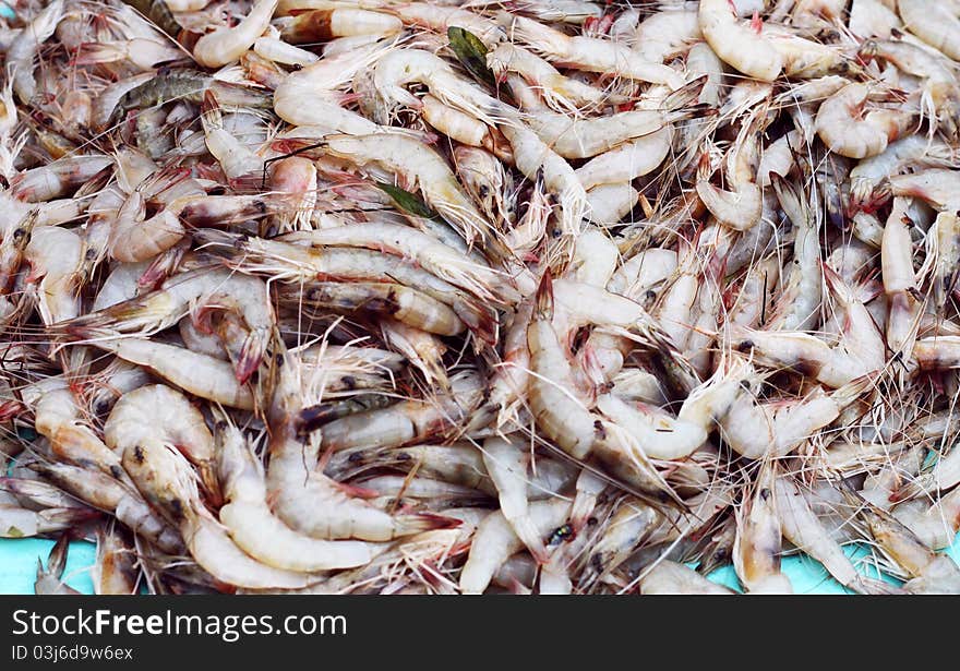 Pile Of Fresh Shrimp At Asian Market