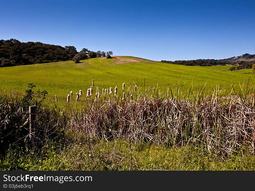 Countryside With Beautiful Green Field.