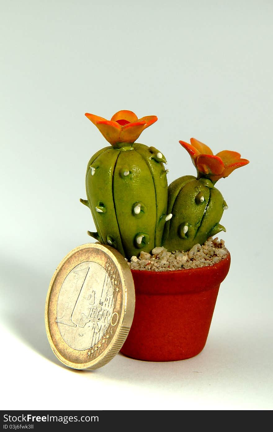 Cactus Euro