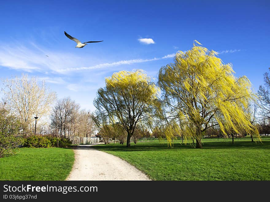 Yellow Trees And The Seagull