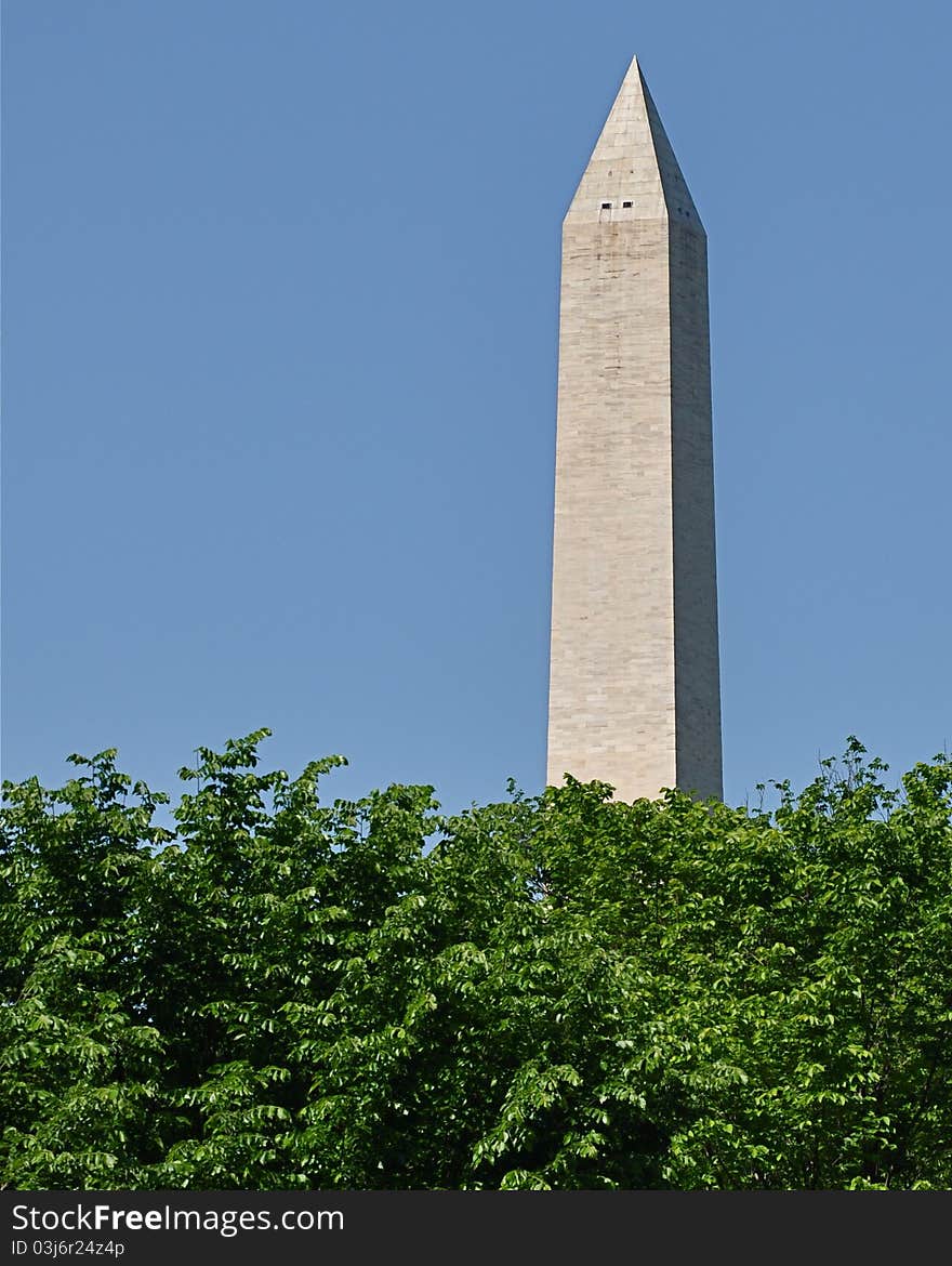 Washington Monument Behind Trees