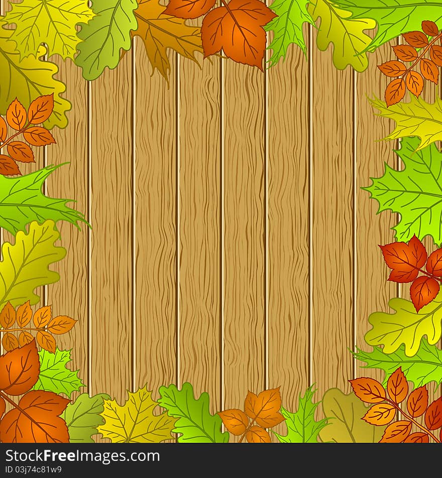 framework from leaves of various plants and wooden board fence. framework from leaves of various plants and wooden board fence