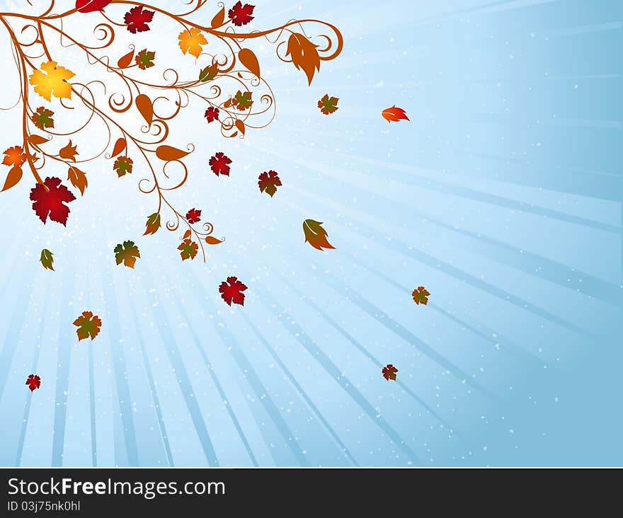 Autumn leaves on a yellow starburst background