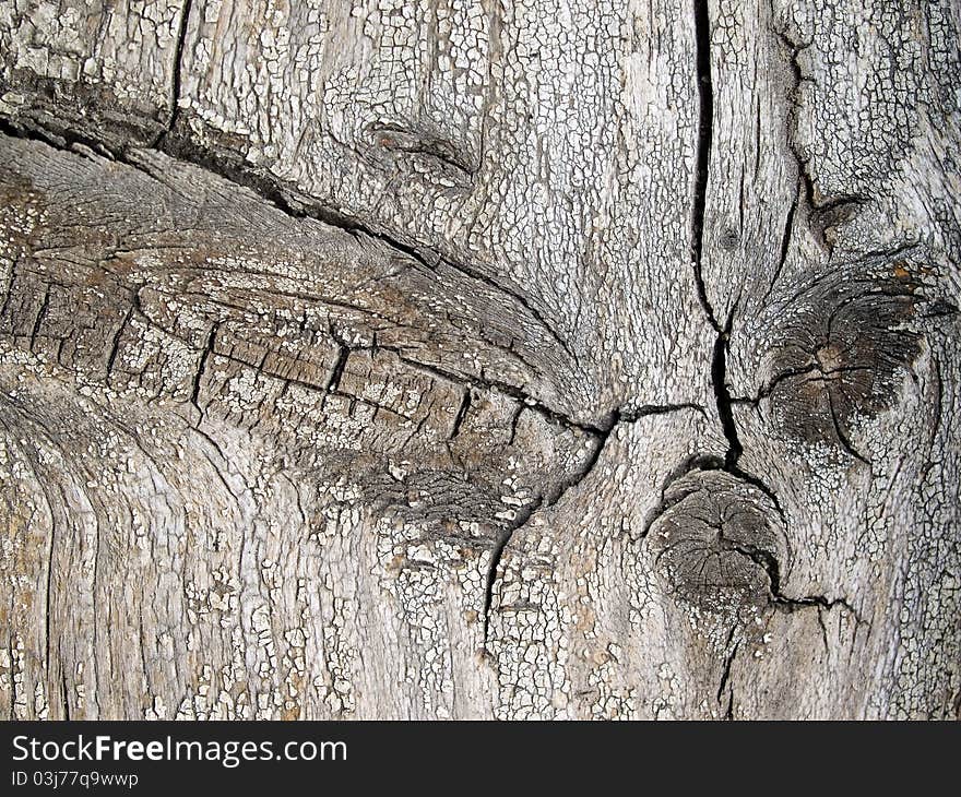 Old wooden texture closeup background. Old wooden texture closeup background.