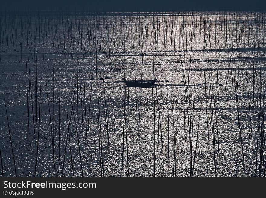 Boat in dawn