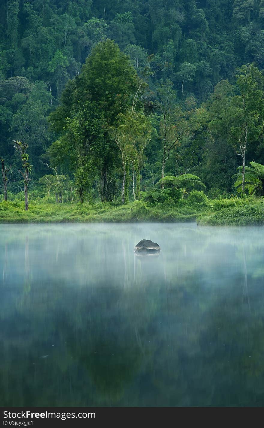 Misty morning on a small lake. Misty morning on a small lake