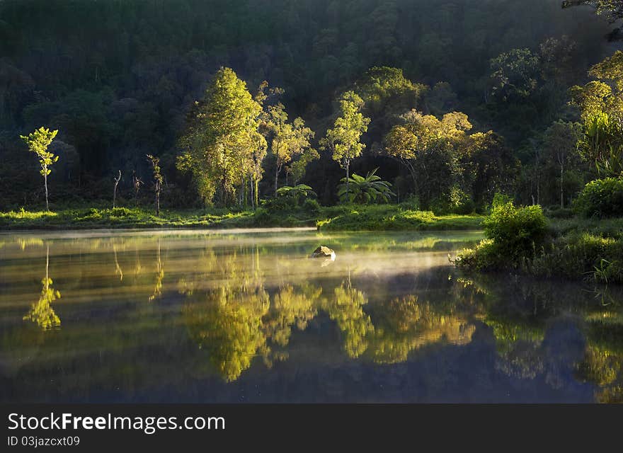 Tropical landscape at sunrise