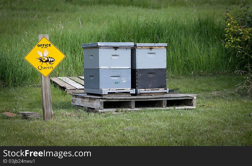 Honey bee hives at the Fairbanks Alaska Botanical Gardens