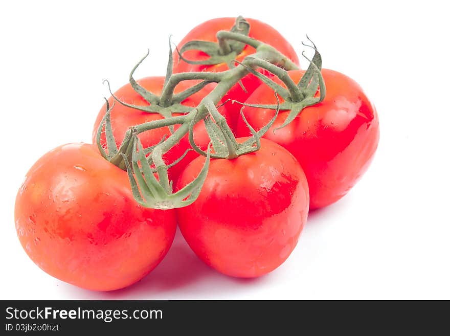 Red tomatoes on a branch on a white background