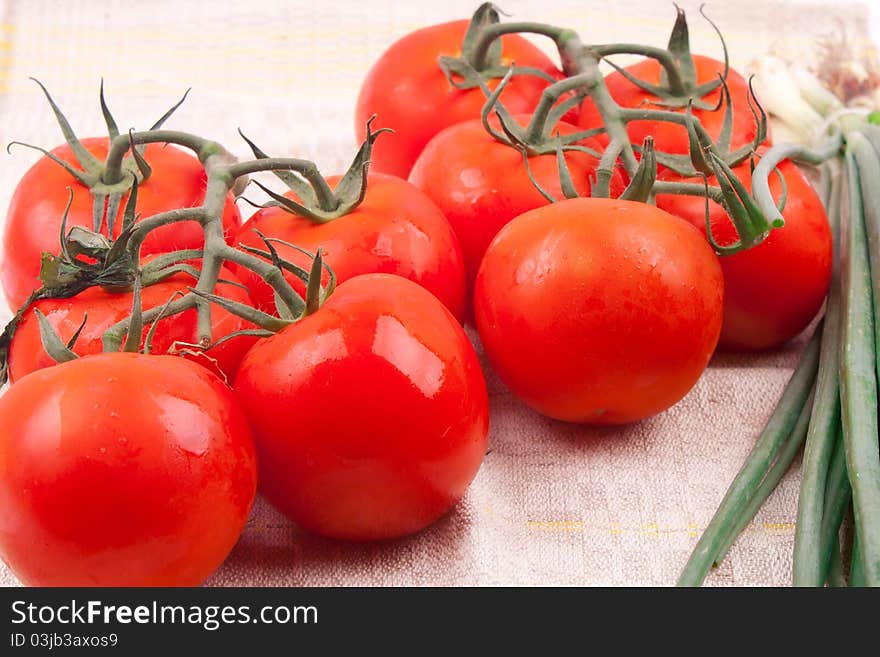 Red tomatoes on a branch on a white background