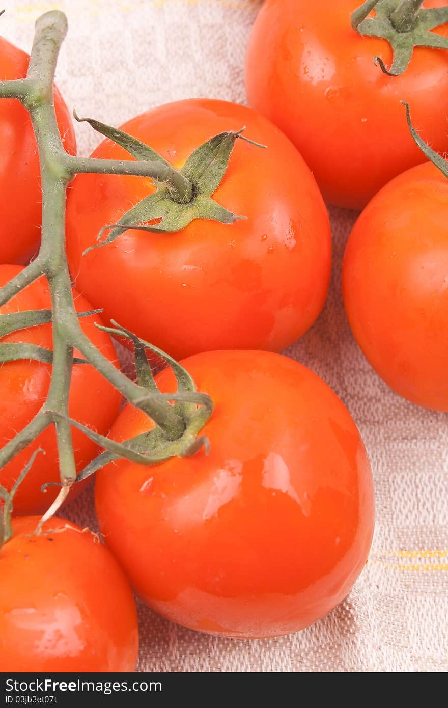 Red tomatoes on a branch