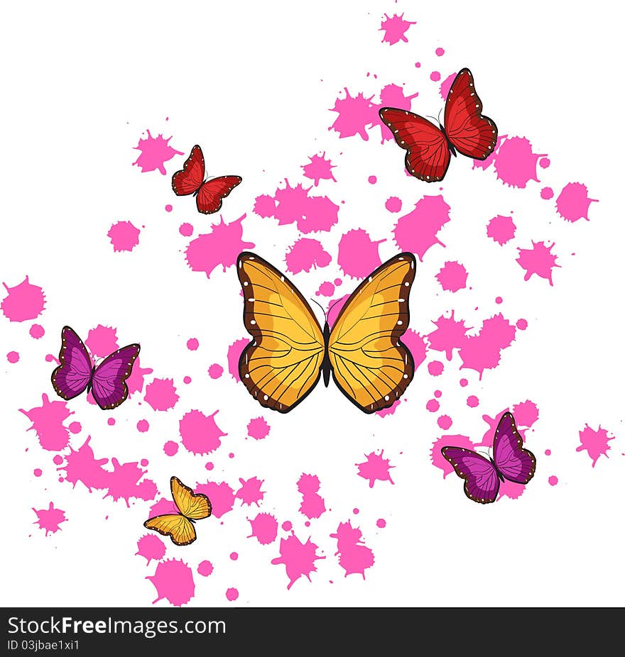 Butterflies