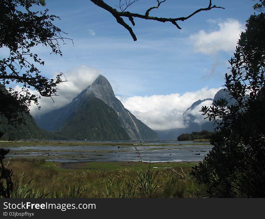 This picture was taken in summer, in Milford Sounds, South Island, New Zealand. This picture was taken in summer, in Milford Sounds, South Island, New Zealand.