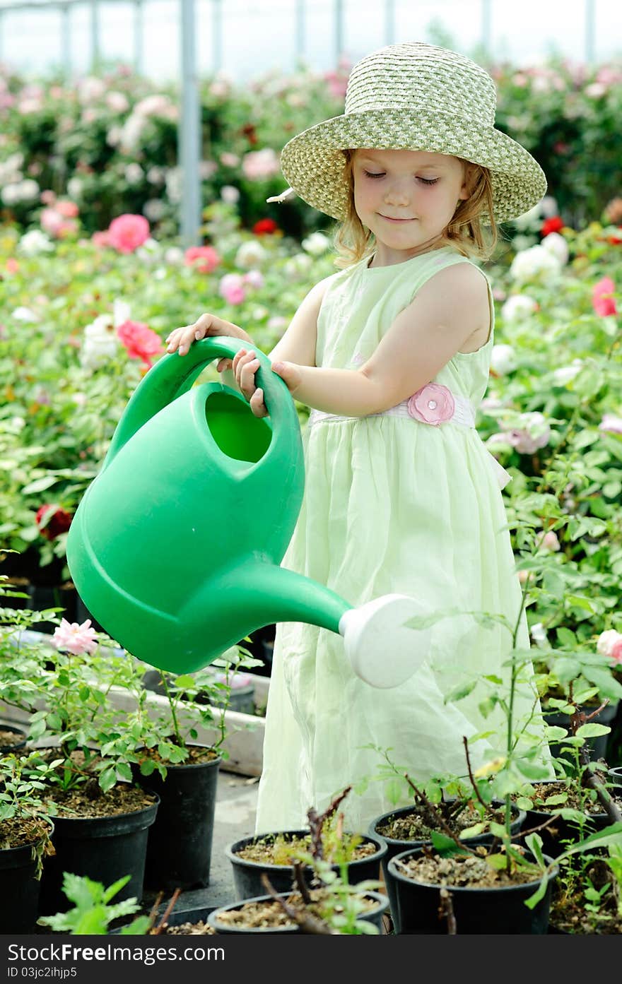 An image of a nice little girl watering flowers