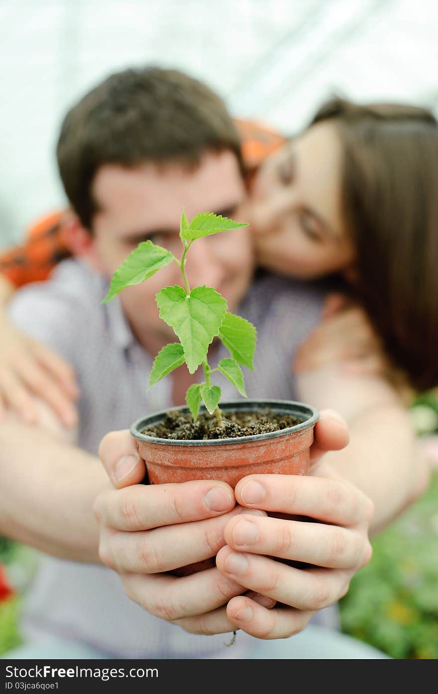 An image of a young couple with a plant in the pot. An image of a young couple with a plant in the pot