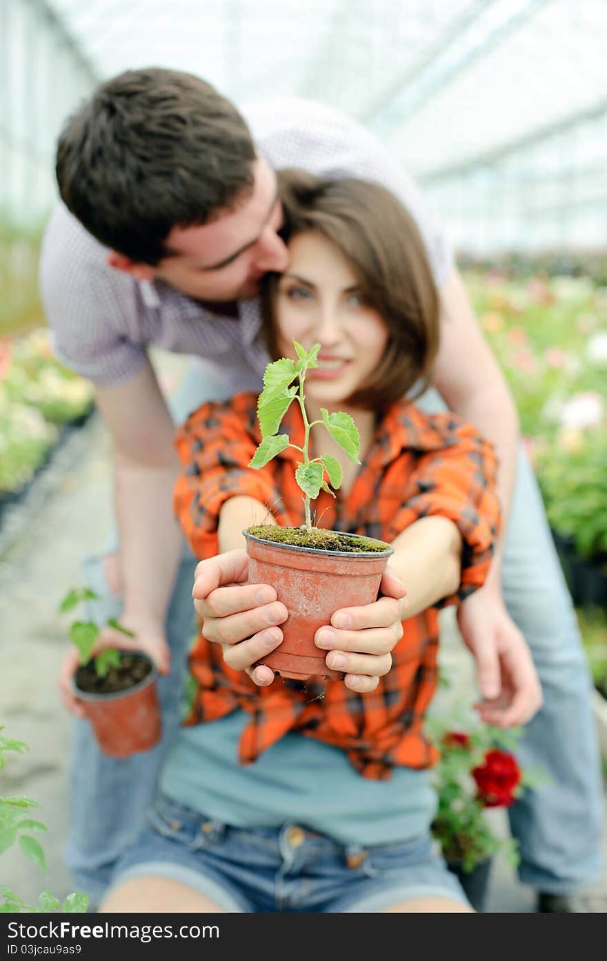 An image of a young couple with a plant in the pot. An image of a young couple with a plant in the pot