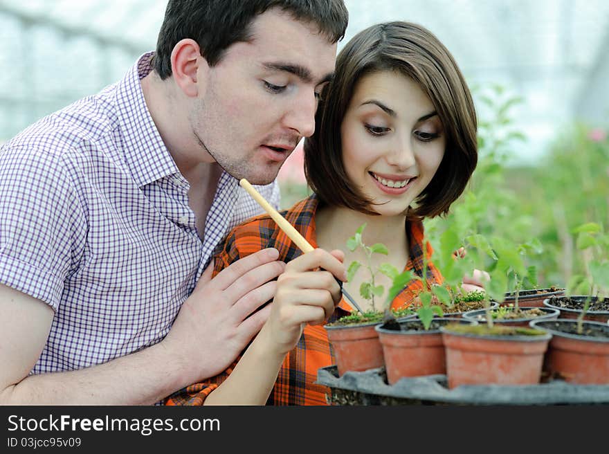 An image of a young couple planting something into the pot. An image of a young couple planting something into the pot