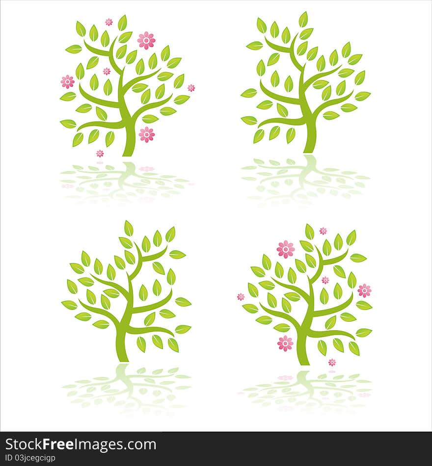 trees with flowers