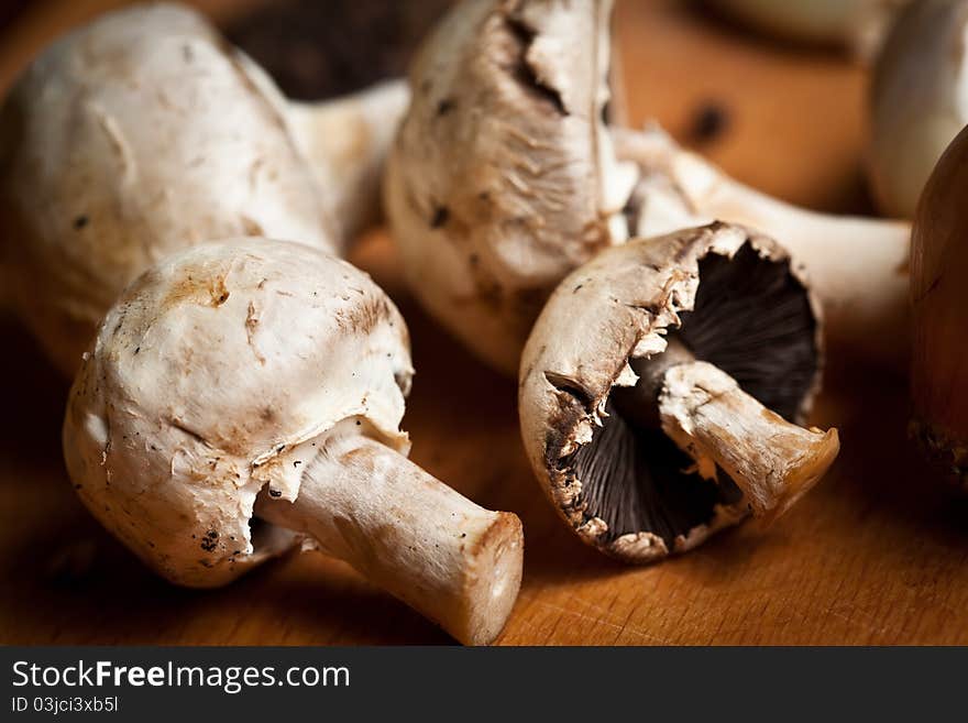 Still Life With Mushrooms