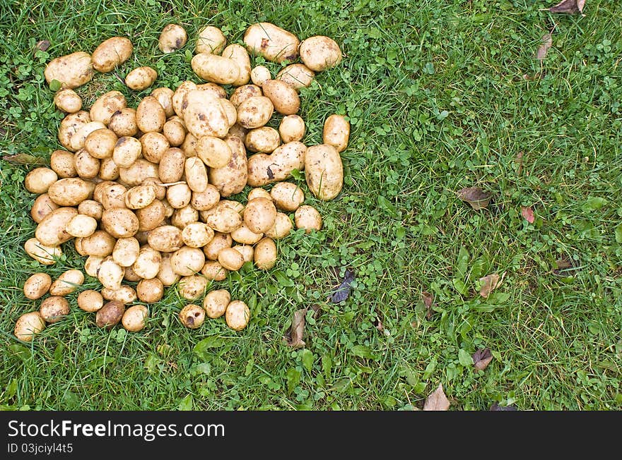 Potatoes