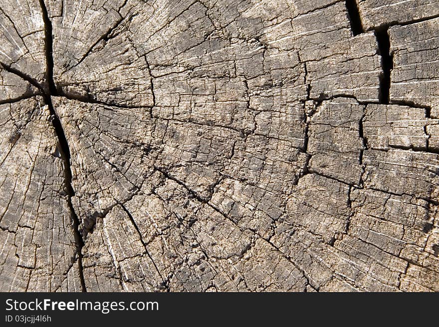 Cutting old cracked wood texture