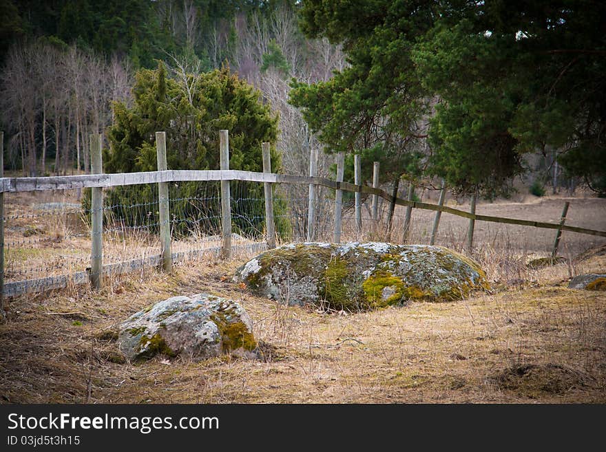 Wooden fence into the woods