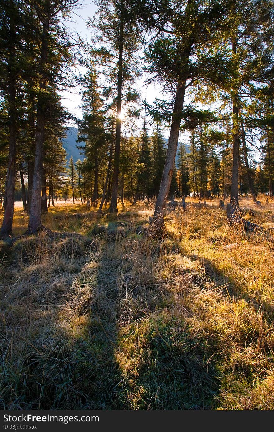 This picture was taken within the territory of China in xinjiang region of xinjiang kanas scenic spot. This picture was taken within the territory of China in xinjiang region of xinjiang kanas scenic spot