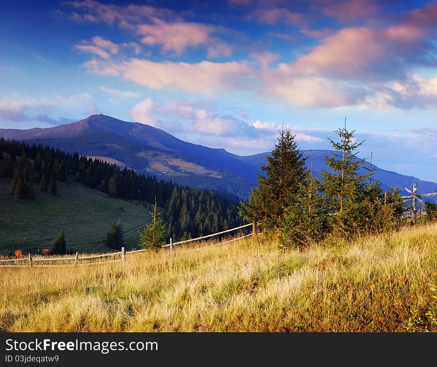 Summer landscape. Summer landscape in mountains