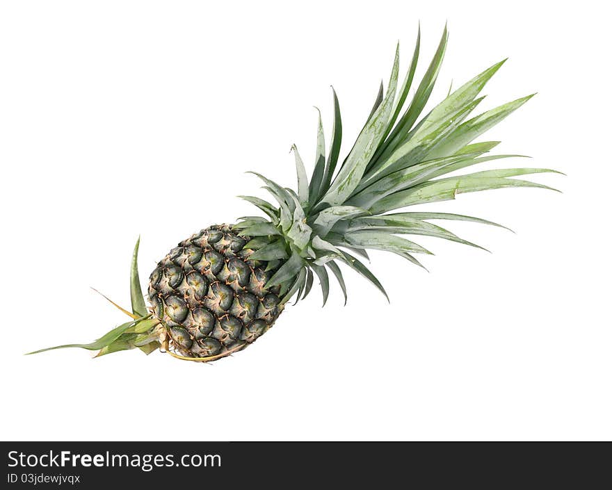 Pineapple