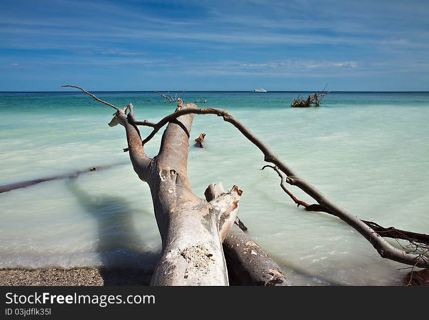 On shore of the Baltic Sea on the island Ruegen (Germany).