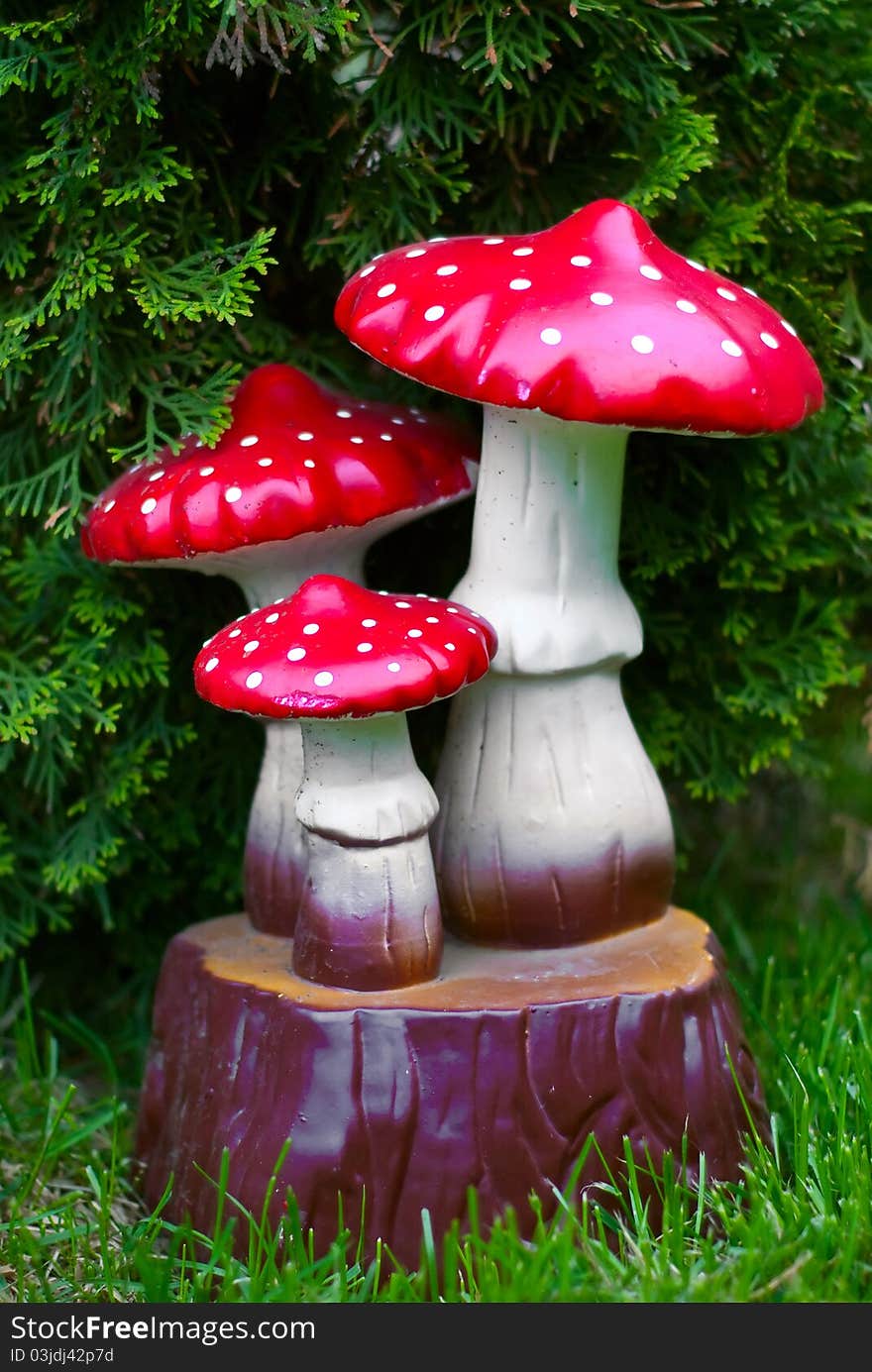 Garden mushrooms