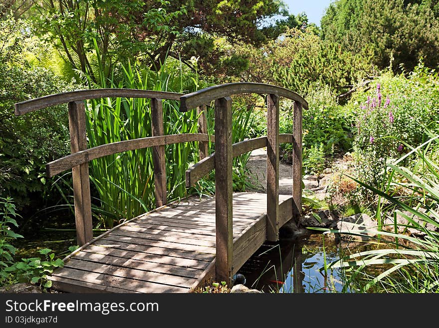 Botanical garden, idylic scenery with green nature in a park